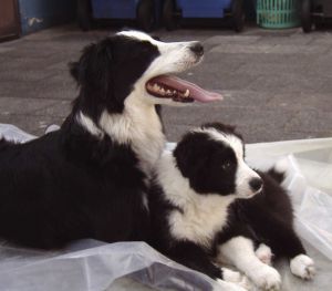 300BenBravery01 072.jpg